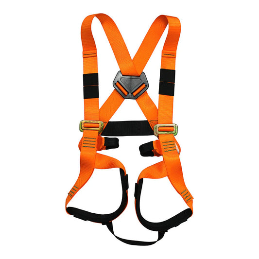 Harness